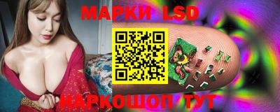 трава Камышлов
