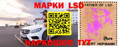 трава Камышлов