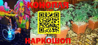 соль ск Кандалакша