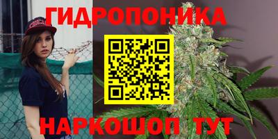 соль ск Кандалакша